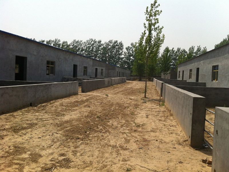 羊舍建設(shè)